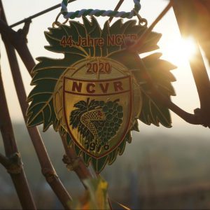 Bembelfest: Jahresorden 2020